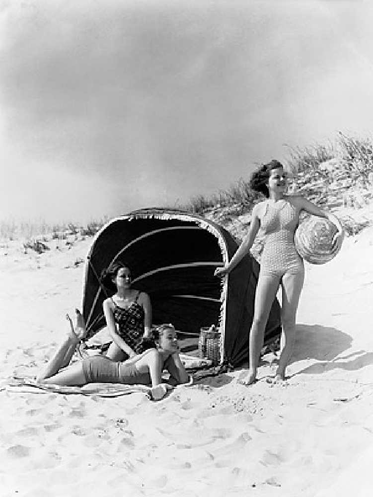 Monkey Beach Essays