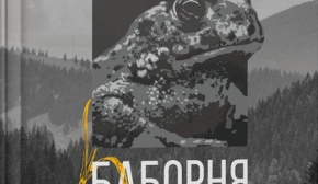 "Настав час скелетів, що випадають із шаф" - Мирослав Лаюк написав безжальний роман