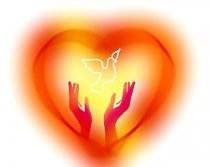 Майя Бджілка