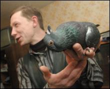 Антон Шатура с голубем Васей
