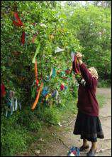 Щоб збулося загадане бажання, одне з дерев на Божій горі поблизу Почаєва потрібно прикрасити стрічкою