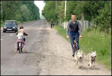 Любомир Скіп прогулюється вуличками Жовкви на сибірських хасках Атті й Мон-Амі
