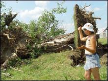Алина Щербань из села Милиево Вижницкого района Черновицкой области гуляет возле тополя, который три недели назад завалил смерч