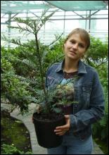 19-летняя экскурсовод оранжереи киевского ботсада Елена Наталенко держит в руках горшок с волемеей