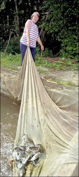 Женщина-рыбовод держит сетку с форелью, выловленной у пруда горного села Турья Поляна Перечинского района Закарпатья