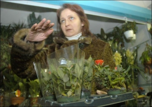 Продавщица цветов Наталия Осипова в переходе на площади Льва Толстого показывает молоденькие кустики карликовых роз