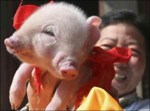 Китайский фермер Лиу Шупинг держит мутанта поросенка, родившегося  в его хозяйстве