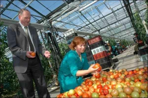 Агроном-технолог Анна Романчук показывает выращенные в теплице помидоры. За сезон с квадратного метра на предприятии собирают 28–35 килограммов