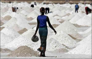 Купи солі лежать на березі Рожевого озера у Сенегалі постійно. Чоловіки дістають кристали з дна водойми, а жінки просушують їх, відсівають пісок та мул і готують товар на продаж