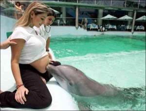 Женщина на восьмом месяце беременности занимается дельфинотерапией в бассейне гостиницы в Лиме (Перу). Терапия призвана стимулировать умственные способности будущего ребенка