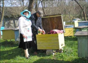 Мария и Николай Бондари делают прививку личинкам пчеломаток на своей пасеке в селе Средний Угринов