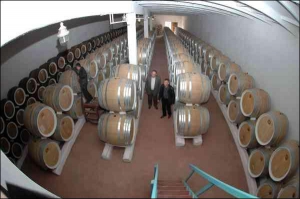 На предприятии ”Зеленая роща” в городе Вознесенске Николаевской области разливают 20 видов вин и 6 видов коньяков. В частности, там изготовляют коньяк под торговыми марками ”Гетман” и ”Гринвич”