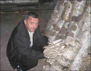 Петр Сидорук в винницком цехе по выращиванию грибов общества ”Каприкорн”. Показывает, как растут гливы из мешков, набитых смесью соломы и шелухи зернышек. Такой же цех общество имеет в городе Хмельник