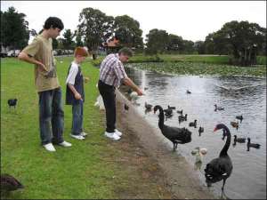 Михаил Кофман с сыновьями Джонатаном (слева) и Мэтью в Сиднее, в городском парке