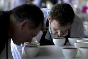 Эксперты международного конкурса в Панаме нюхают кофе, сваренный из различных смесей