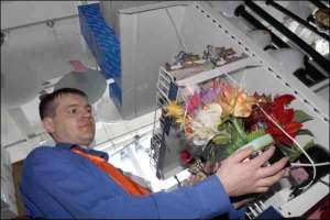 У київському магазині ”Брілле” Валентин Олещенко показує світильник з тоненькими соломинками, що світяться на кінцях. Квітки світильника рухаються: по черзі розкриваються й закриваються. Він коштує 203 гривні