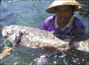 Юстинус Лахама, рыбак из Индонезии, поймал целиканта. Считалось, что эта рыбы вымерла во времена динозавров. Ее плавники напоминают руки человека