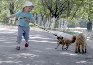 3-летняя Настя — внучка Наталии Николаевны Довгаленко с Борщаговки — любит гулять возле дома с собакой Зитой. Бабушка во время прогулок не спускает с ребенка глаз, — чтобы не забежала под окно, из которого в ее соседку попал стрелок