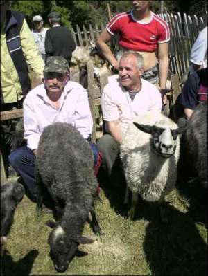 Жители села Буковец Межгорного района Закарпатской области Иван Тычка (слева) и Василий Воробец доят овец