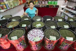 Власниця чайної крамниці в Шанхаї чекає на відвідувачів. У Китаї чай вирощують у 18 провінціях та автономних районах. Зі свіжих листків одного куща китайці можуть приготувати понад 500 сортів, обробляючи по-різному один чайний листок
