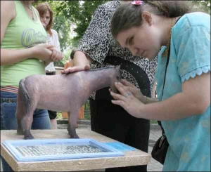 В зоопарке позаботились о незрячих— возле вольеров установили скульптуры животных и таблички с текстом Брайля