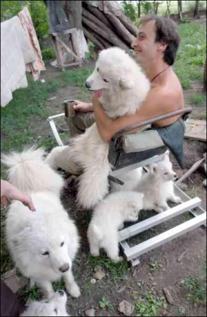 Иногда лайки Валерия Новака крадут соседских кур. Мужчина разводит их в селе Гребни Кагарлыкского района на Киевщине