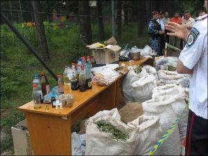 У селі Сокиричі Ківерцівського району Волинської області демонструють наркотики, оцінені експертами у 200 тисяч гривень