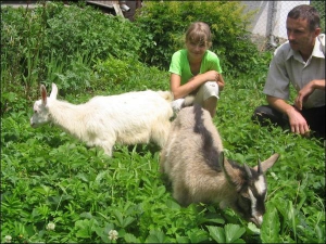 12-летняя Елена Гермак в селе Старява Старосамборского района Львовской области ухаживает за маленькими козлятами, чью мать разорвала волчица