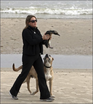 Жителька прибережного уругвайського міста Піріаполіс несе пінгвіна, вкритого нафтою. Вона щойно знайшла його на пляжі