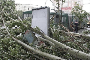 В воскресенье в центре Киева, близ дворца ”Украина”, от ветра упал тополь высотой с пятиэтажный дом