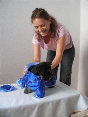 Львів’янка Олена Корнік приміряє сукню на свого песика — цверґшнауцера Дулю. Пошиттям одягу для тварин жінка заробляє до тисячі гривень на місяць