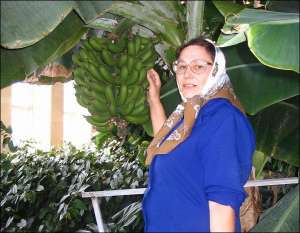 Анастасия Физик показывает 10-килограммовую гроздь бананов, уродившую в зимнем саду предприятия ”Агроконцерн” в селе Заря Ривненского района