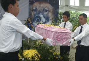 Работники похоронного бюро из китайского города Ченду несут на кладбище гроб с телом собаки. Три месяца назад его на улице подобрал одинокий преподаватель математики