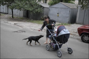 Галина Балицька відганяє собаку, яка пробувала витягти з-під візочка їжу для дитини