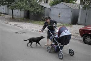 Галина Балицкая отгоняет собаку, которая попыталась вытянуть из-под коляски еду для ребенка