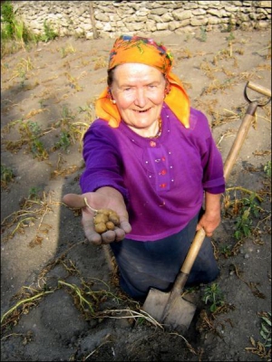 67-летняя Мария Кирган выкапывает из куста по несколько мелких картофелин. Женщина переживает, что из-за плохого урожая будет тяжело пережить зиму