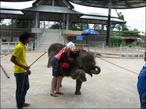 Киевлянка Ирина Шлепнина на крокодиловой ферме близ курорта Паттайя в Таиланде. Там живут разные животные — тигры, ламы, обезьяны. Больше всего ходит маленьких слоников. Эта экскурсия, а также поездка на ювелирный завод входили в стоимость путевки. На кро
