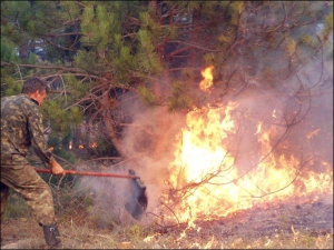 24 августа пожар гасили на окружной дороге Севастополя. Жители околиц города в государственный праздник задыхались от едкого дыма, который приносило сильным ветром