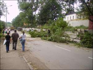 Срезанные аварийные деревья на улицах райцентра Турка Львовской области пускают на дрова. Хотя город газифицируется, сотни жителей до сих пор топят печи углем и щепками
