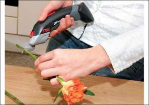 В Голландии на презентации аккумуляторных ножниц  "Скил 2900" представитель компании показал, как прибором подрезают стволы роз
