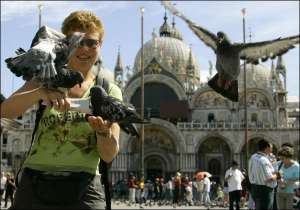 Пока еще туристы могут кормить голубел в Венеции. В ближайшее время это станет нарушением закона
