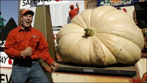 Фермер Тед Старр только что узнал, что его тыква весом 691 килограммов — самая тяжелая на конкурсе в Гелфмун-Бей, штат Калифорния.