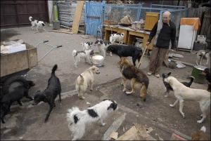 Володимир Грінченко підгодовує своїх собак двічі на день
