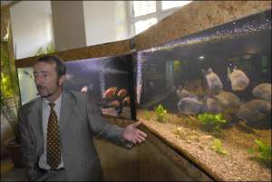 Директор столичного Будинку природи Микола Зубович показує акваріум із піраньями