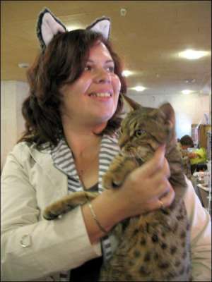 Оксана Куліда тримає на руках кота Боба рідкісної в Україні породи оцикет
