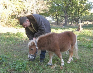 Ярослав Породко с пони Бариком на территории спортивного клуба ”Мустанг”. Животного нужно кормить шесть раз в день, трижды поить