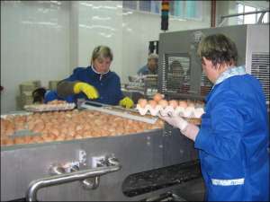 В Ивано-Франковске работницы завода ”Имперево Фудс” возле ленты для разбивания яиц