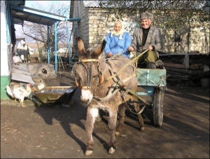 Катерина та Віктор Богоносюки з села Хоменки Шаргородського району Вінницької області возять на віслюкові Юльці картоплю та кукурудзу