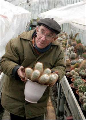 Валерий Дударов в теплице ”Виноблагролеса” ухаживает за 1200 кактусами. У мужчины возле дома в Виннице растет 10 видов кипарисов