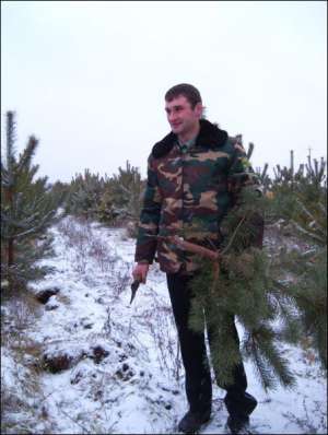 Мастер леса Чаливского лесничество под Полтавой, Роман Бурим на специальной плантации заготовляет елки для продажи
